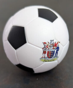 DTFC Stress Ball